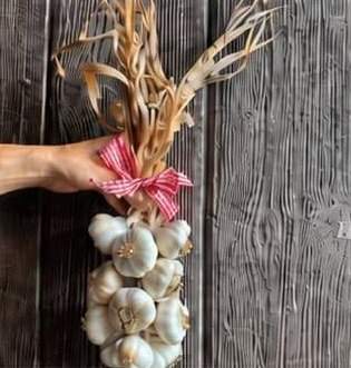 Tresse d'ail blanc nouée d'un ruban vichy rouge
